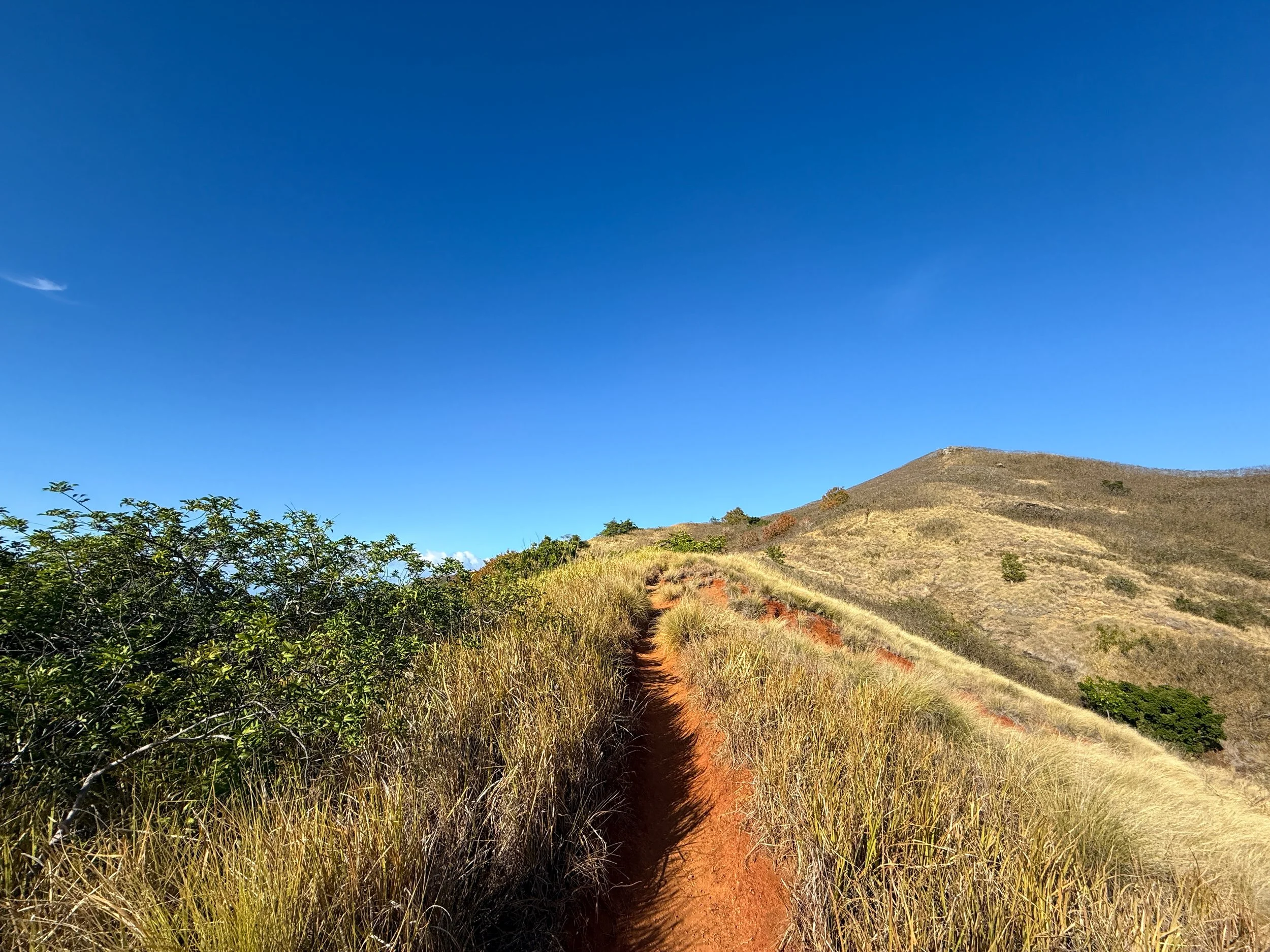 Hiking the Back Lanikai Pillbox Trail (Kaʻiwa Ridge), Oʻahu